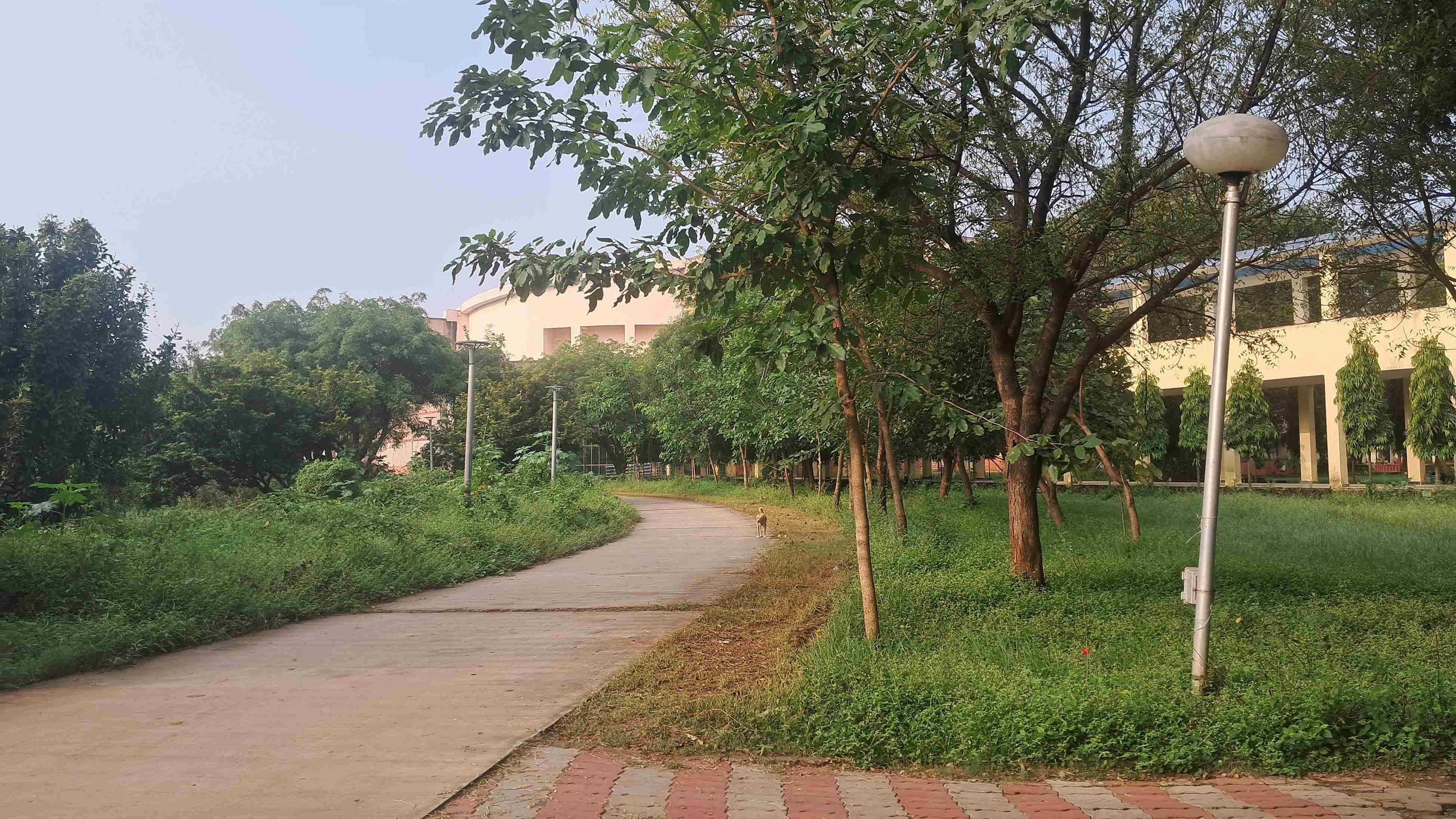 IIITM Gwalior Academic Building photo 21